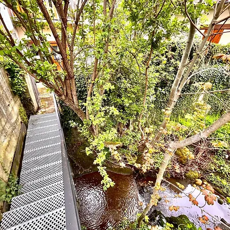 Joli T1 Avec Terrasse Proche Des Thermes